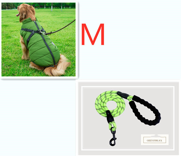 C2C Golden Retriever Blazer