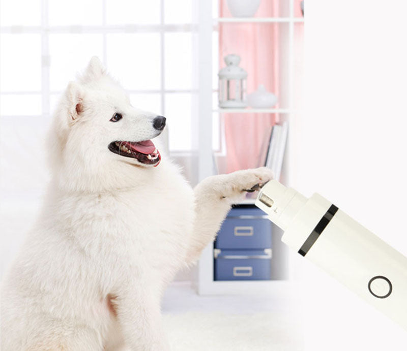 C2c Hair Trimmer Shaver Pet Grooming Electrical Tool