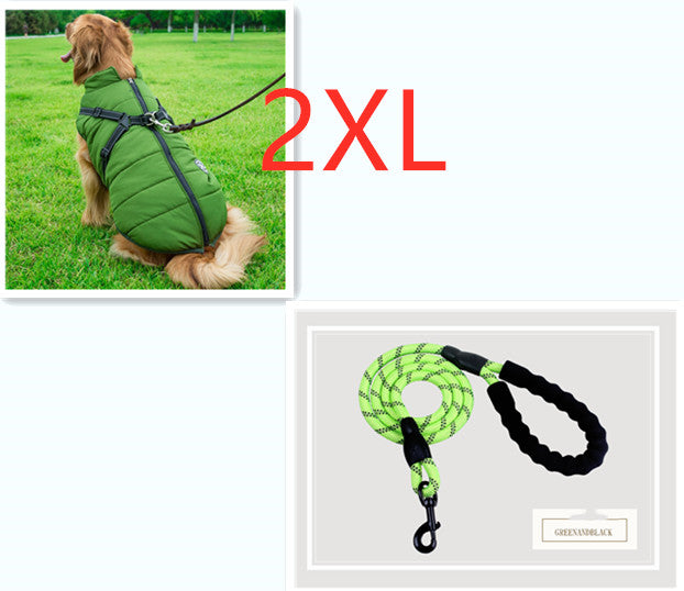 C2C Golden Retriever Blazer