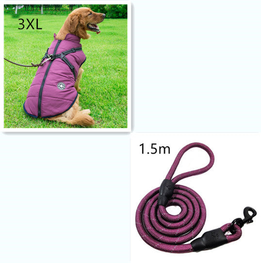 C2C Golden Retriever Blazer