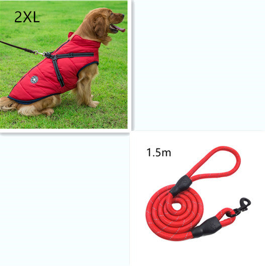 C2C Golden Retriever Blazer
