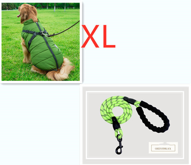 C2C Golden Retriever Blazer