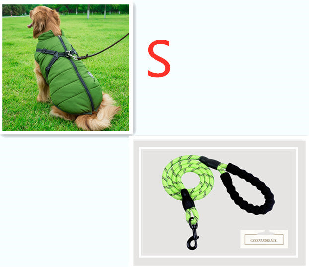 C2C Golden Retriever Blazer