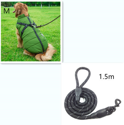 C2C Golden Retriever Blazer