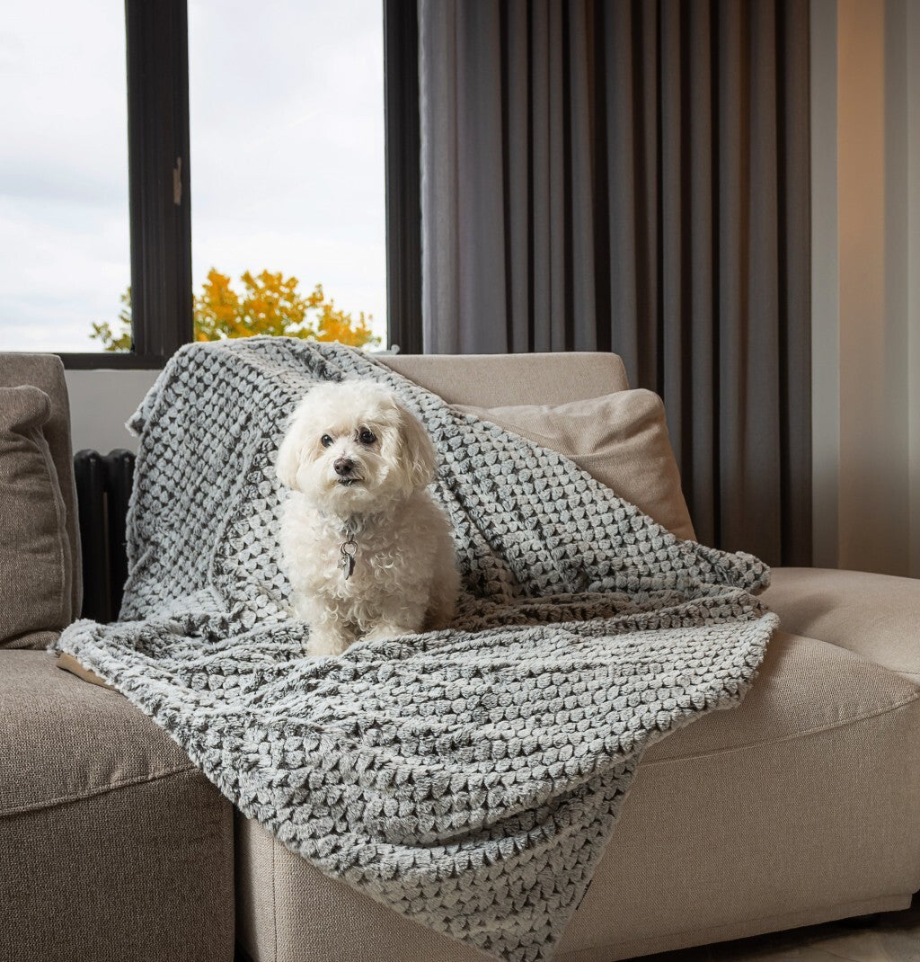 C2C Premier Luxury Cocoa and White Faux Fur Throw Blanket