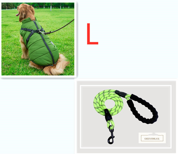 C2C Golden Retriever Blazer