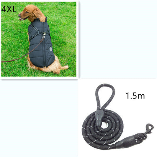 C2C Golden Retriever Blazer