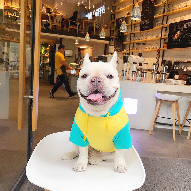 C2C Cute cotton clothes for pets