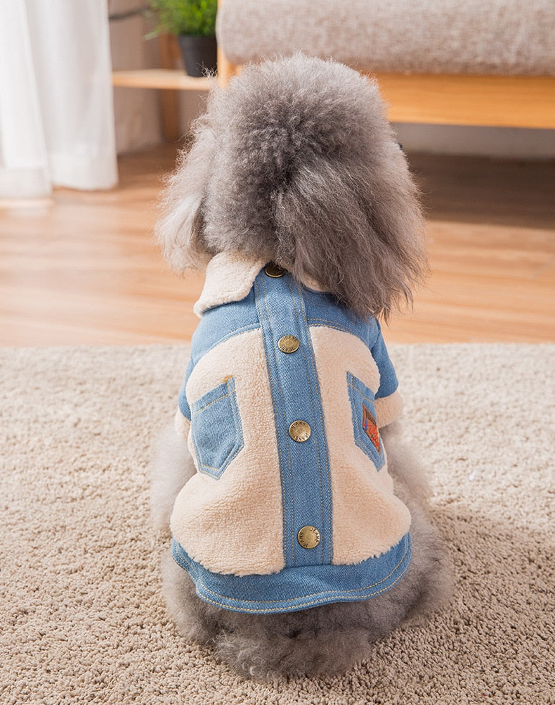 C2C Denim Warm clothes for pets