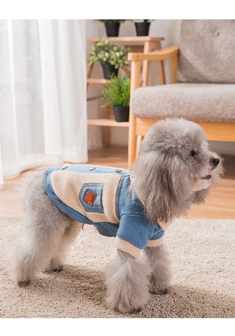 C2C Denim Warm clothes for pets