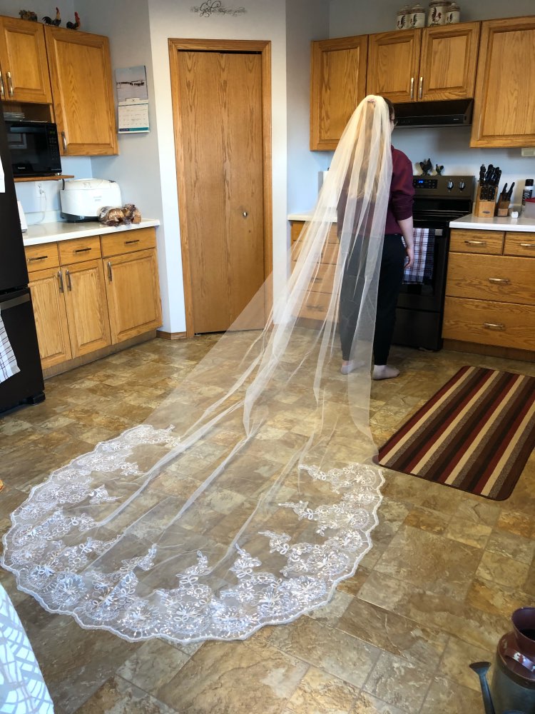 Wedding Long Lace Edge Bridal Veil with Comb Wedding Accessories