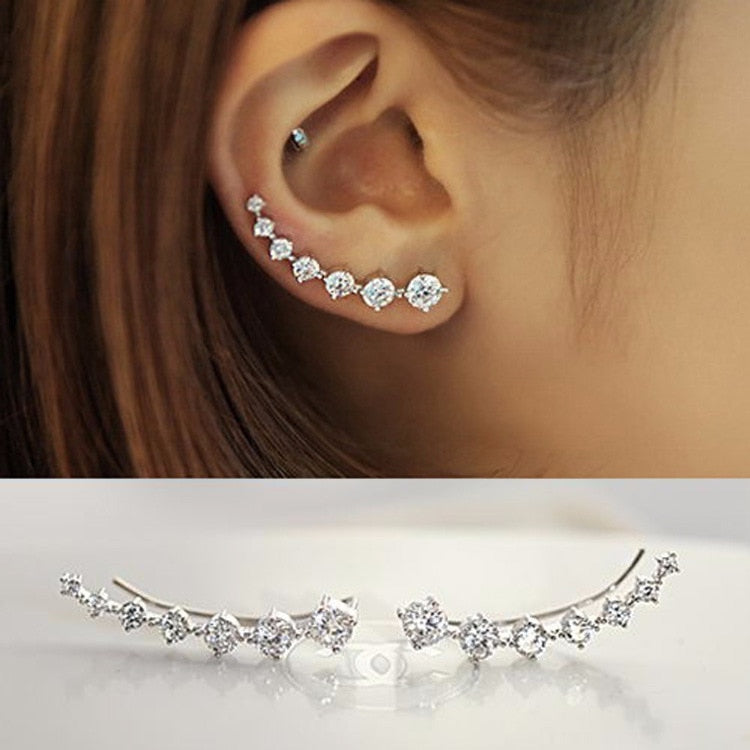 New Fashion High Quality Super Shiny Zircon 925 Sterling Silver Stud Earring for Women Jewelry Wholesale Gift Oorbellen