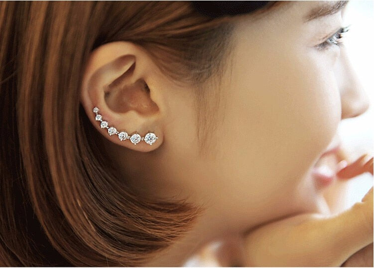 New Fashion High Quality Super Shiny Zircon 925 Sterling Silver Stud Earring for Women Jewelry Wholesale Gift Oorbellen